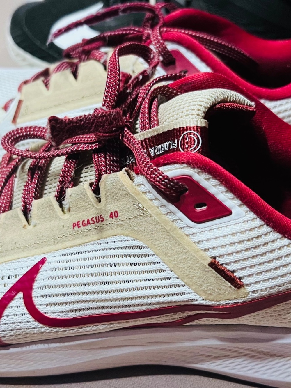 FSU Nike Running Shoe